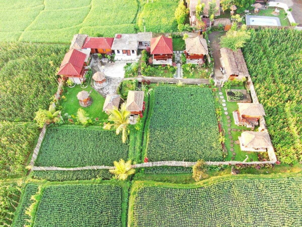 Pondok Indah Bungalows Tetebatu Extérieur photo