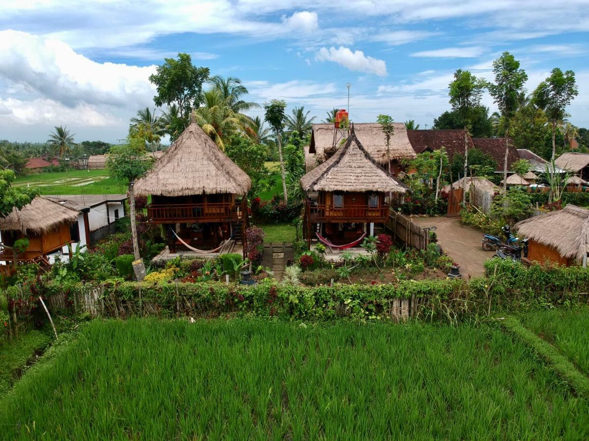 Pondok Indah Bungalows Tetebatu Extérieur photo